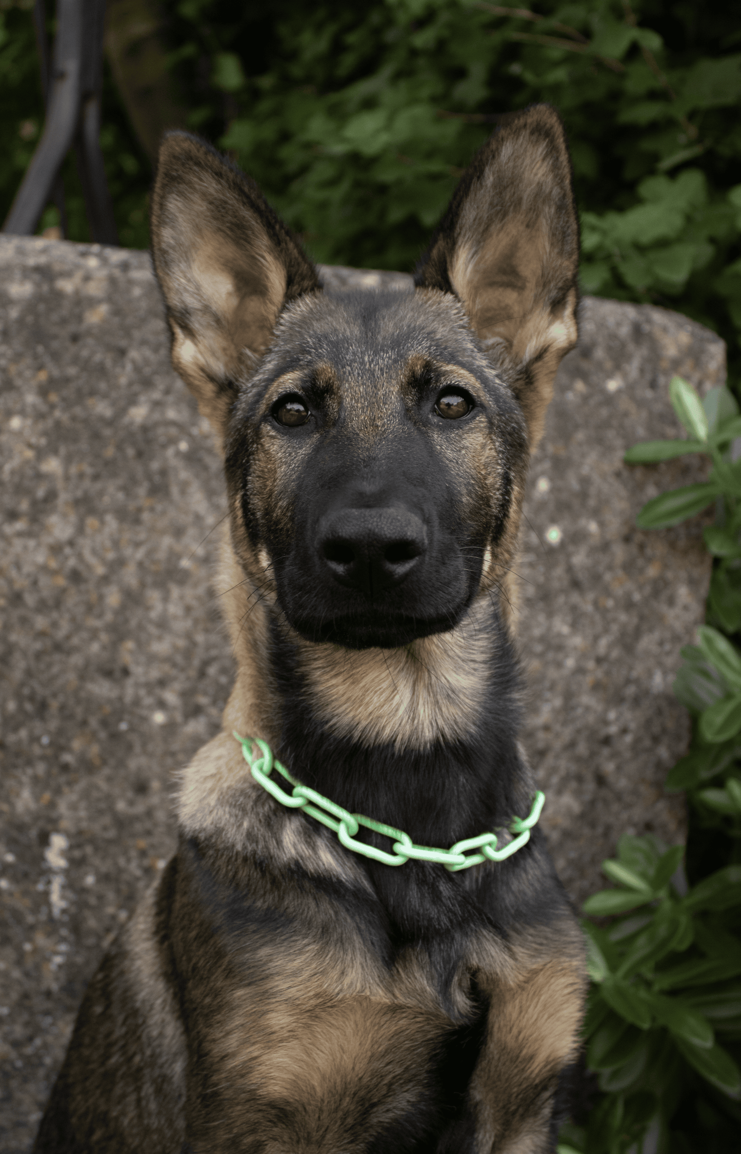 Standard Link Coloured Chains